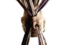 Escena de Pandorum: Terror en el espacio