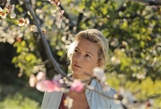 Escena de Pastel de pera con lavanda