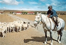 Escena de Patagonia rural