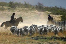 Patagonia rural