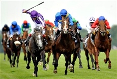 Escena de Patagonia turf