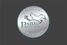 Escena de Pato de primera