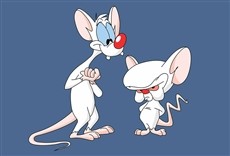 Serie Pinky y Cerebro