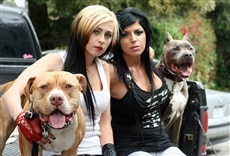 Escena de Pit bulls y convictos