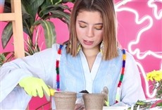 Escena de Planeta Bala