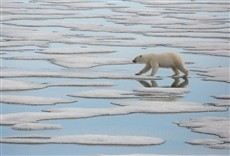Escena de Planeta hostil