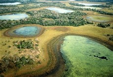 Escena de Planeta Tierra