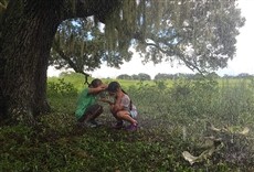 Escena de Proyecto Florida