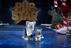 Película Puppy Star Christmas