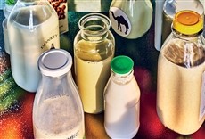 Escena de Qué comemos