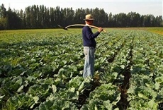 Escena de Rafaela rural