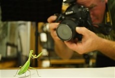 Escena de Rare - Creatures of the Photo Ark