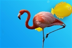 Escena de Reino animal