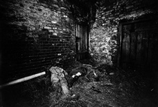 Escena de Reporte forense