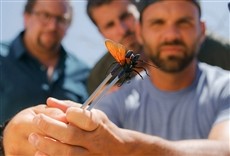 Escena de Reyes del dolor