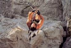 Escena de Máximo riesgo