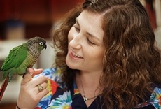 Escena de Sala de emergencia animal