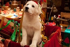 Escena de Santa Can 2: Los cachorros de Santa