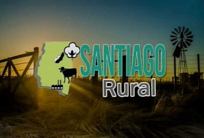 Televisión Santiago rural
