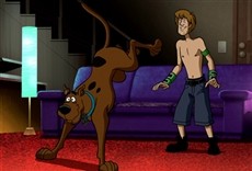 Película Scooby-Doo: misterio en el ring