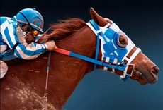 Escena de Secretariat