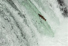 Escena de Secretos de Asia