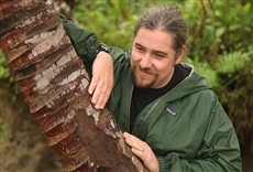 Escena de Seducción alada: aves del paraíso