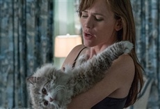 Escena de Siete vidas, este gato es un peligro