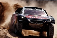 Escena de Silk Way Rally