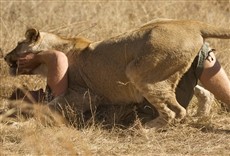 Escena de Solo y en peligro