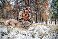 Escena de Solos: 30 días en el Ártico