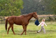 Escena de Persiguiendo un sueño