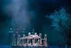 Película Sueño de una noche de verano, un ballet de John Ne