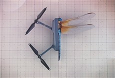 Escena de Súper naturaleza