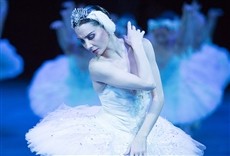 Escena de Tamara Rojo: El lago de los cisnes
