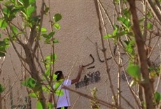 Escena de The Boy Who Started the Syrian War