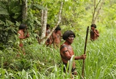 Escena de Caníbales