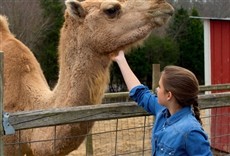 Escena de The Little Ponderosa Zoo