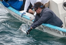 Escena de The Obsession of Carter Andrews