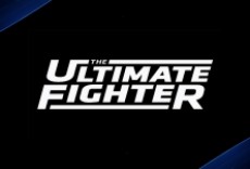 Televisión The Ultimate Fighter