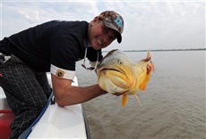 Escena de Tiempo de pesca