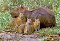 Escena de Todo o nada