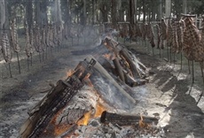 Escena de Todo sobre el asado