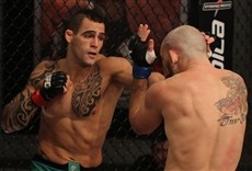 Escena de UFC