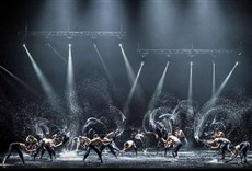 Escena de Un lago de los cisnes