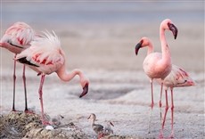 Escena de Un planeta perfecto