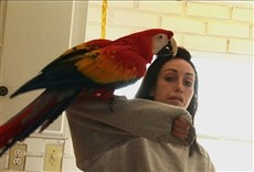 Escena de Heidi Fleiss: The Would-Be Madam of Crystal