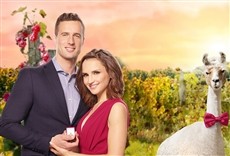 Escena de Valentine in the Vineyard