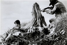 Escena de Temple de acero