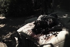 Escena de Envenenados